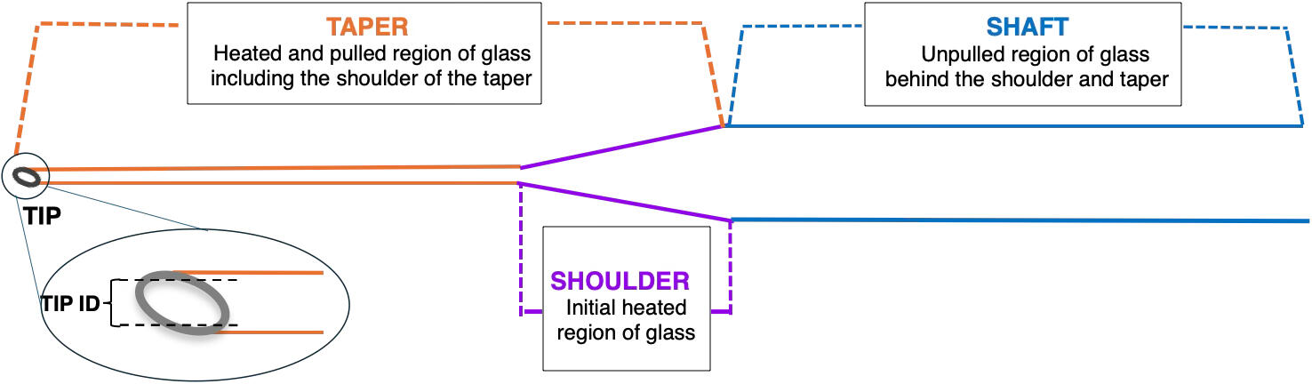 Shaft: unpolled region of glass behind the shoulder and taper. Shoulder: Initial heated region of glass and part of the taper. Taper: Heated and pulled region of glass including the shoulder of the taper. Tip ID: The inner diameter of the tip.