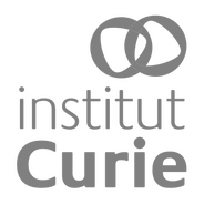 Institut Curie Institut Curie