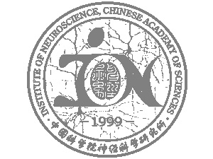 Institute of Neuroscience Shanghai (ION)